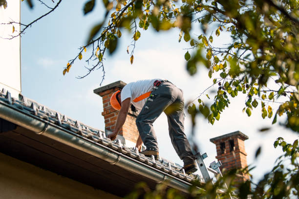 Roof Insulation in East Moline, IL
