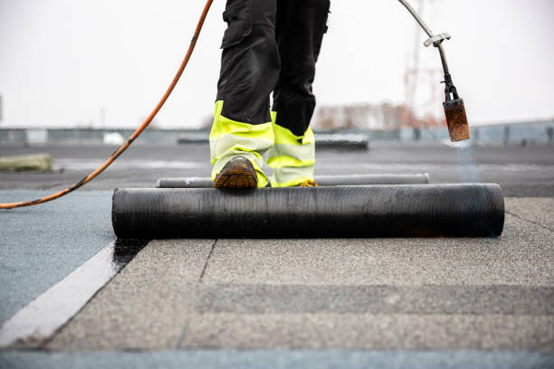 Best Skylight Installation and Repair  in East Moline, IL